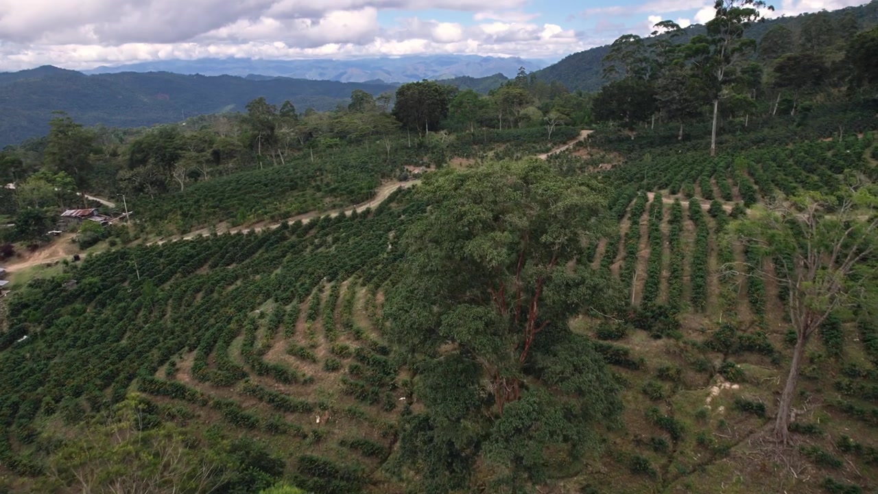 Imágenes de dron con vistas a un valle rural verde con una pequeña casa de campo enclavada entre colinas boscosas