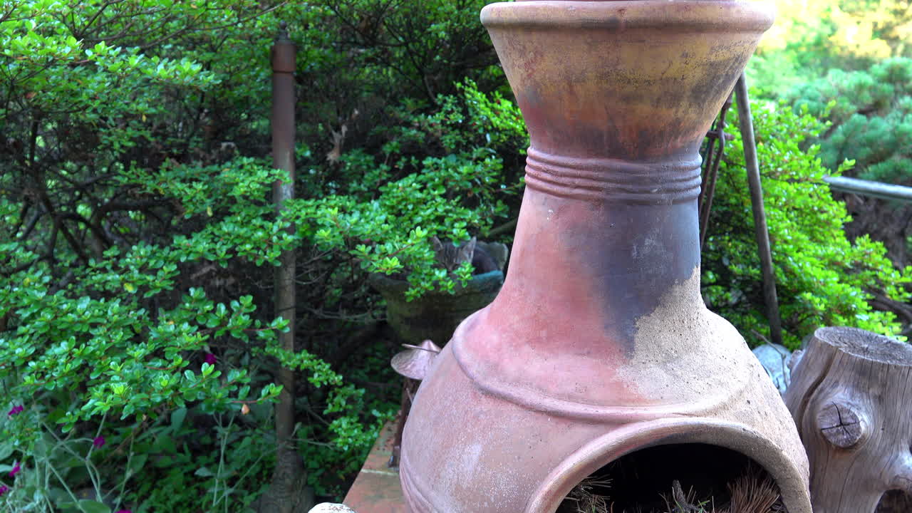 Kitten sits in a planter behind a chiminea.