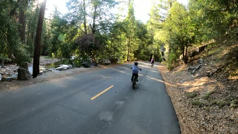 hermoso sendero para bicicletas con un paisaje impresionante en el parque nacional de yosemite, estados unidos