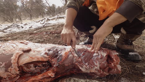 hunter deboning a buck on the forest floor