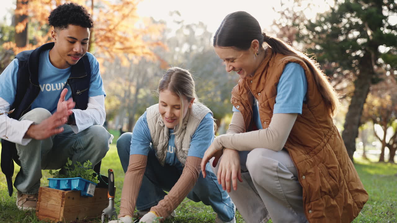 자원 봉사자 들 은 공원 에서 나무 를 심는다