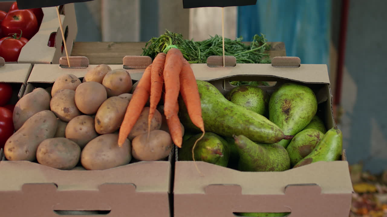 Fresh Vegetables and Fruits at the Market
