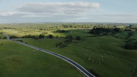 cars driving on a countryside road. aerial