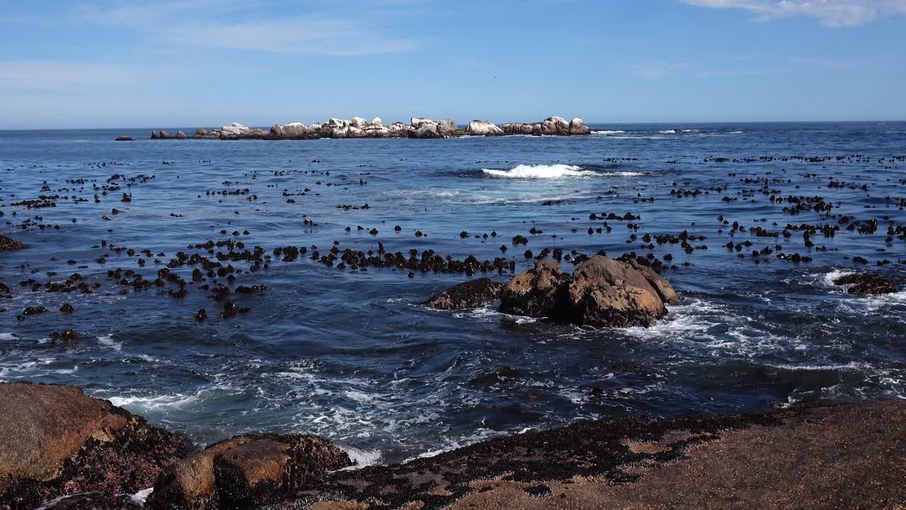 남아프리카의 서해안