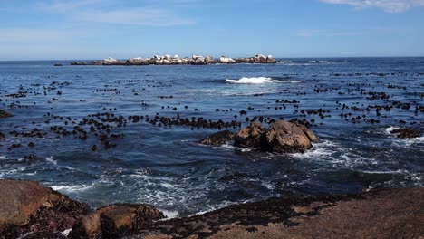 costa oeste de sudáfrica