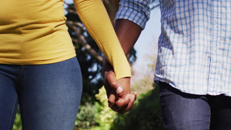 sección media de una pareja afroamericana cogida de las manos y caminando en un jardín soleado