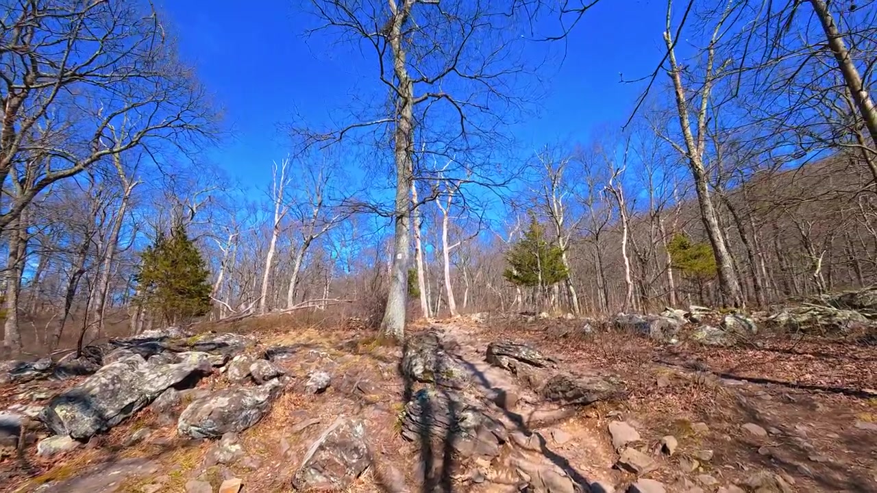 Pendio roccioso ripido e massi sul sentiero escursionistico del Monte Tammany. Un ripido versante coperto di rocce sciolte e alberi spogli lungo un sentiero al Delaware Water Gap.