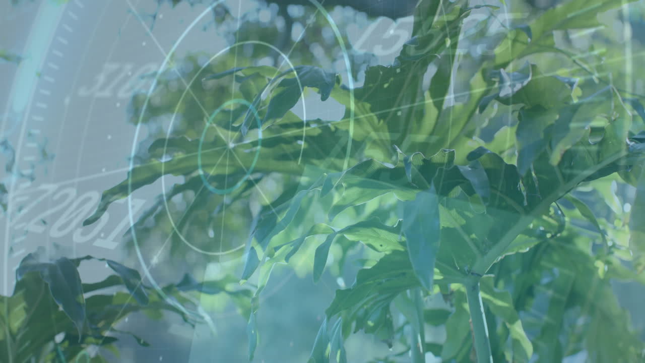자연 환경에서 녹색 잎에 대한 과학적 데이터 처리 애니메이션