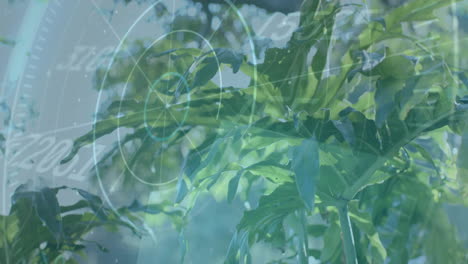 scientific data processing animation over green leaves in natural environment