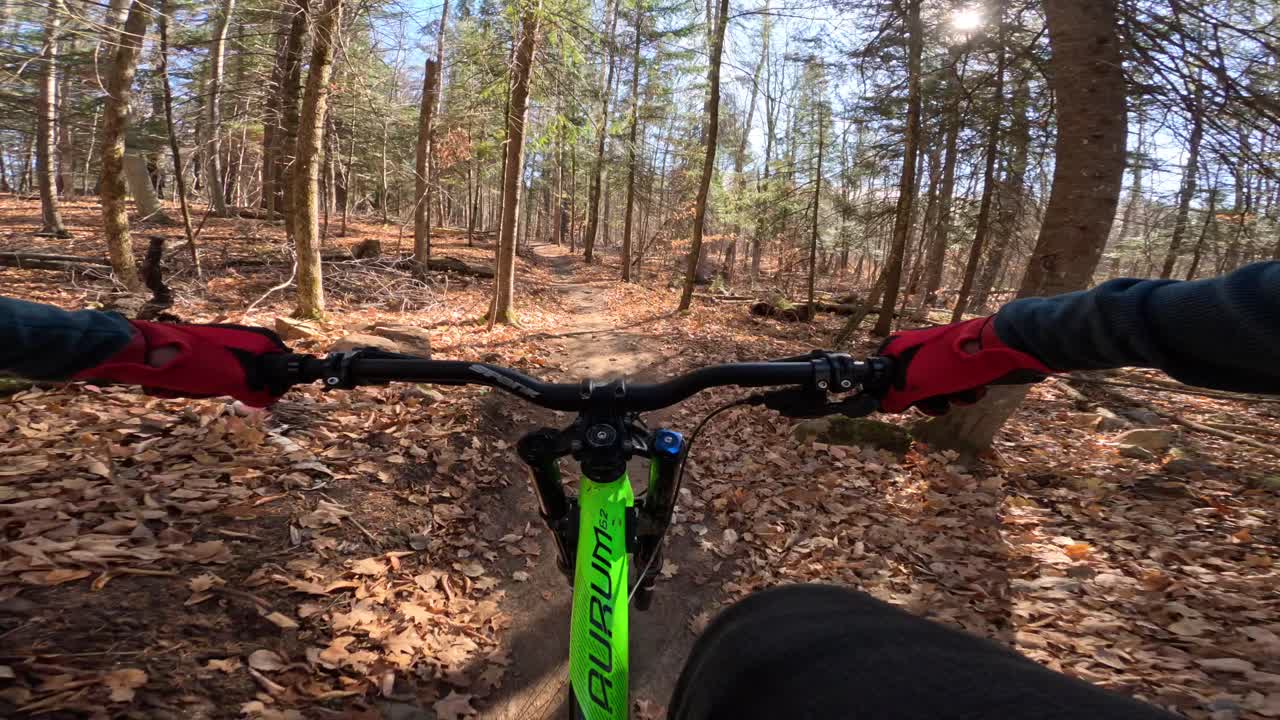 mtb pov sentado pedaleando casualmente en un sendero forestal soleado