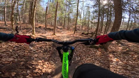 mtb pov sitting down casual pedalling in sunny forest trail