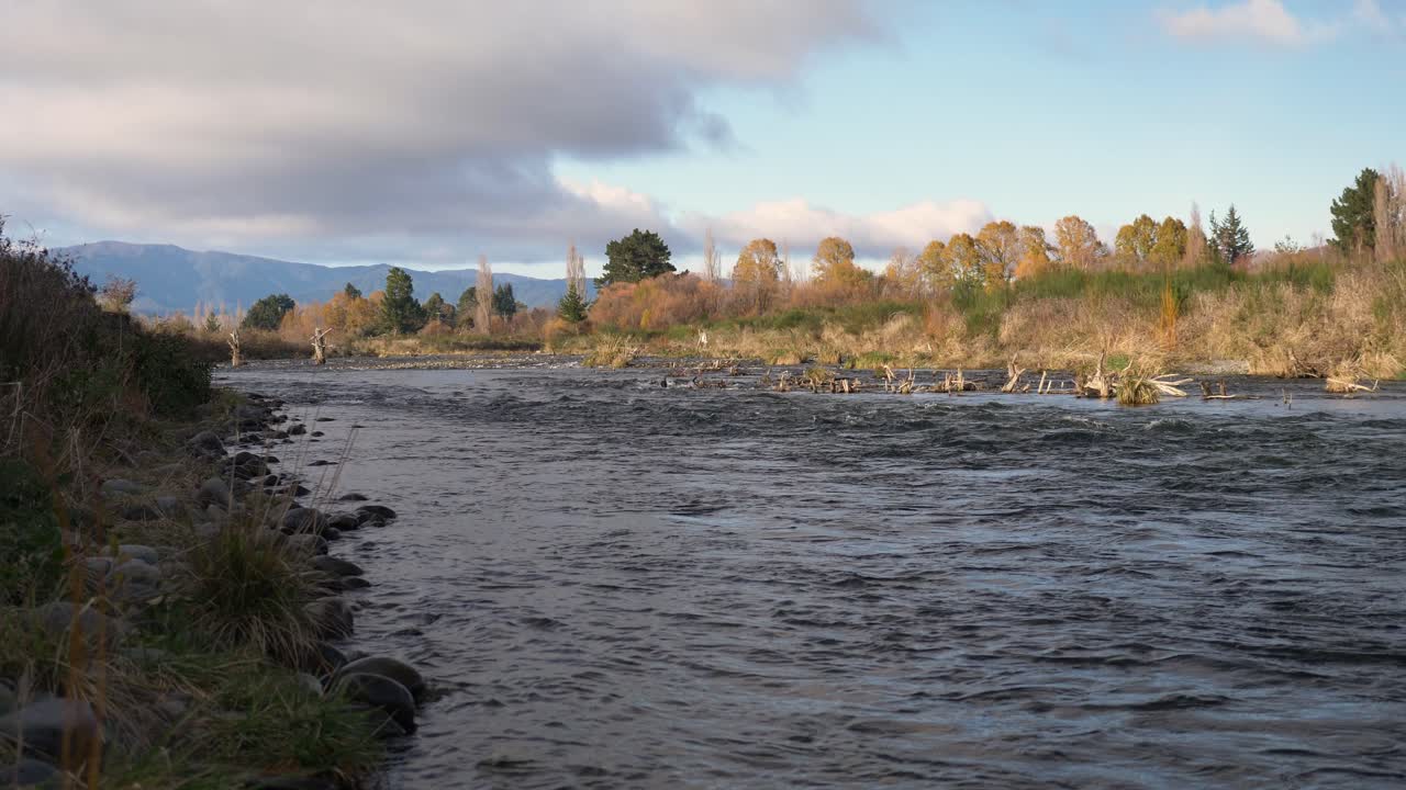Vildt strømmende flod og naturbaggrund, set fra siden, medium