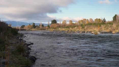 Wild-Fließender-Fluss-Und-Naturhintergrund,-Seitenansicht,-Mittel