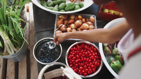 Primer-Plano-De-Una-Mujer-Poniendo-Arándanos-En-Una-Bolsa-De-Algodón-Reutilizable-En-Una-Tienda-De-Comestibles-Sin-Plástico