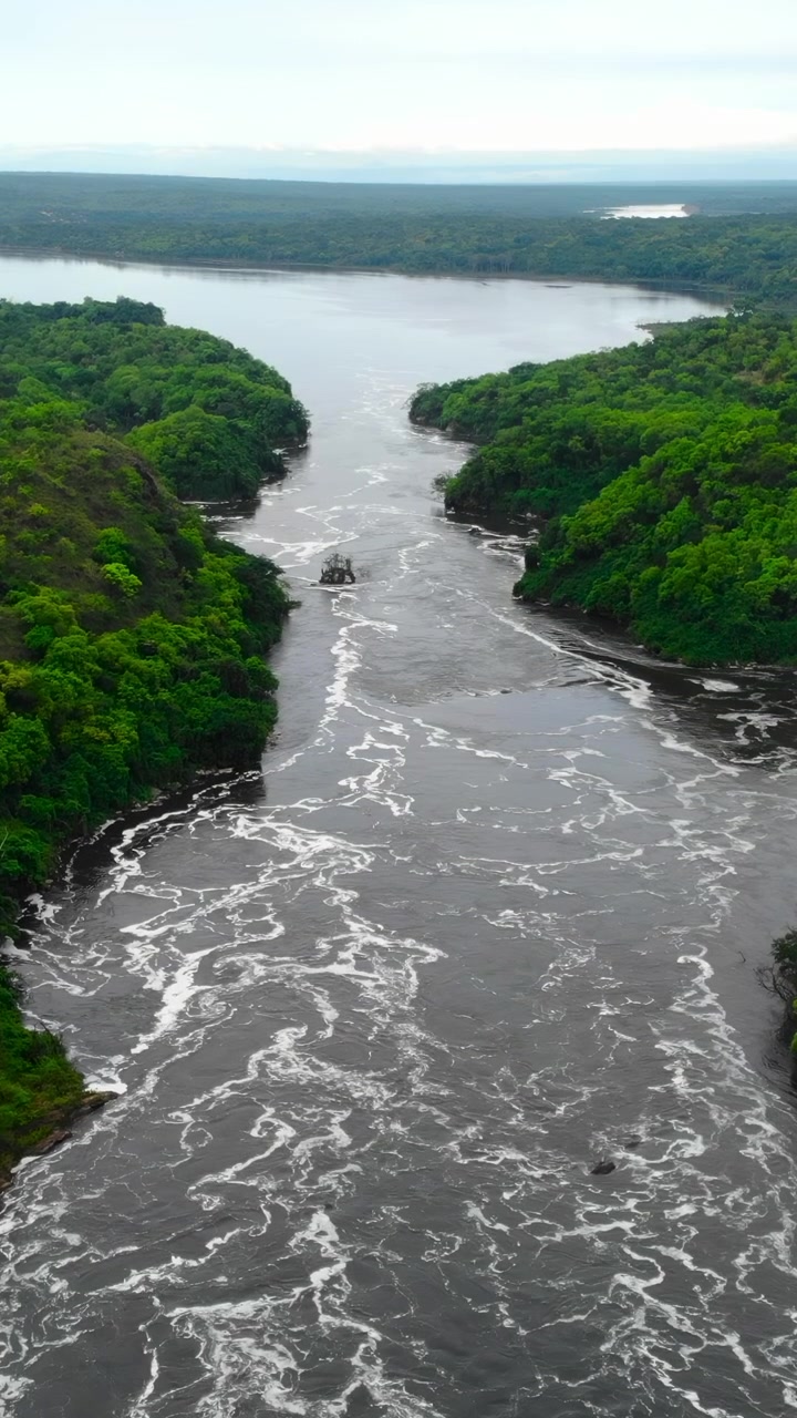 Canale fluviale placido che si snoda attraverso la fitta chioma della foresta, ampia vista aerea mostra un flusso calmo e riflettente.