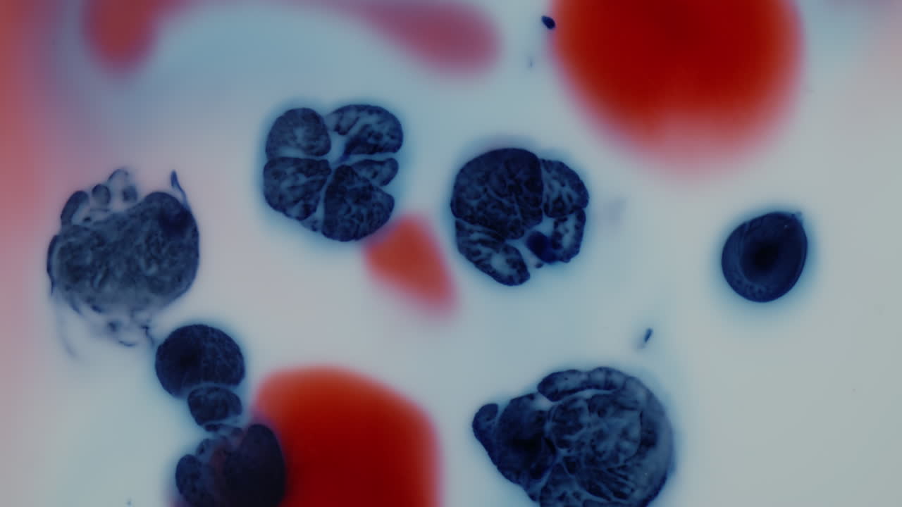 manchas de tinta abstractas