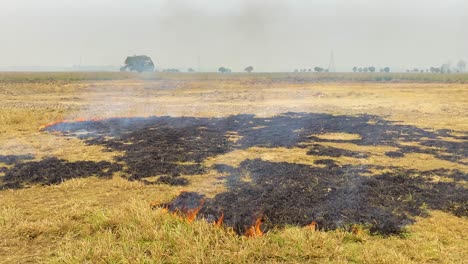 Summer-fires-threaten-nature's-green-grass,-engulfing-it-in-a-slow,-dangerous-blaze,-casting-a-dark-shadow-on-its-fragile-ecosystem