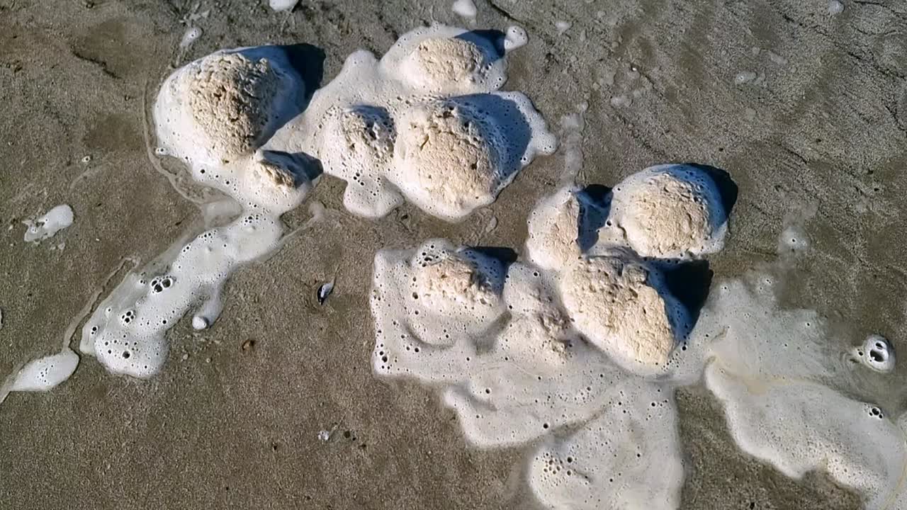 더러운 바다 거품 거품은 조류 파도 거품과 함께 모래 웨일즈 해변을 가로질러 천천히 이동