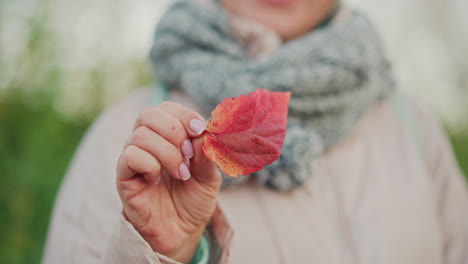 close up of woman holding vivid red autumn leaf with manicured fingers, scarf wrapped warmly around neck, hint of smile on blurred face as she gently lifts leaf