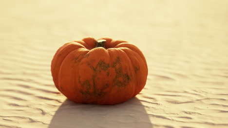 halloween pumpkin on the beach dunes