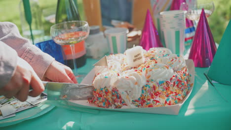 birthday cake cutting at outdoor party