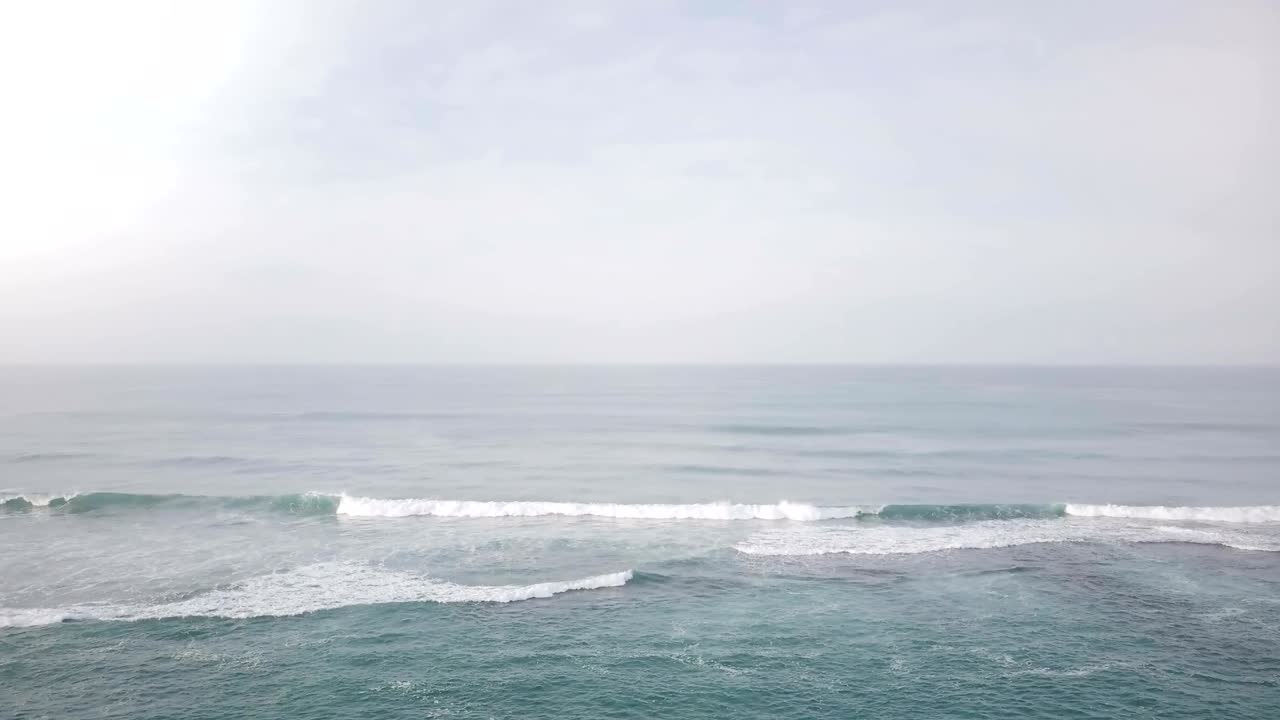 열대 나무들 사이를 향해 날아다니는 드론, 놀라운 개방된 바다 파도 파노라마, 물의 수직 전망으로 아래로 기울어