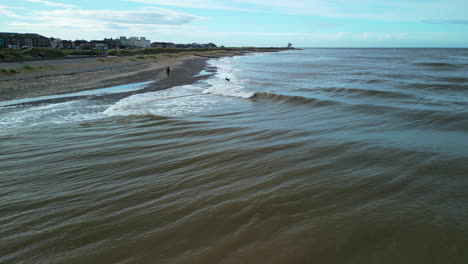 Dog-running-into-murky-Irish-Sea-after-thrown-stone