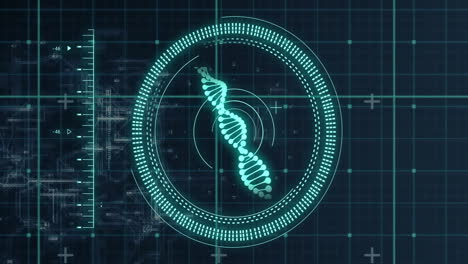 Animation-Des-DNA-Strangs-Und-Der-Digitalen-Datenverarbeitung-Auf-Schwarzem-Hintergrund