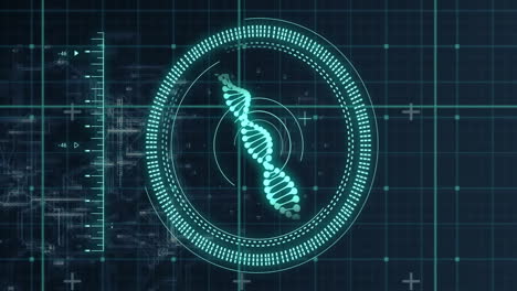 Animation of dna strand and digital data processing over black background