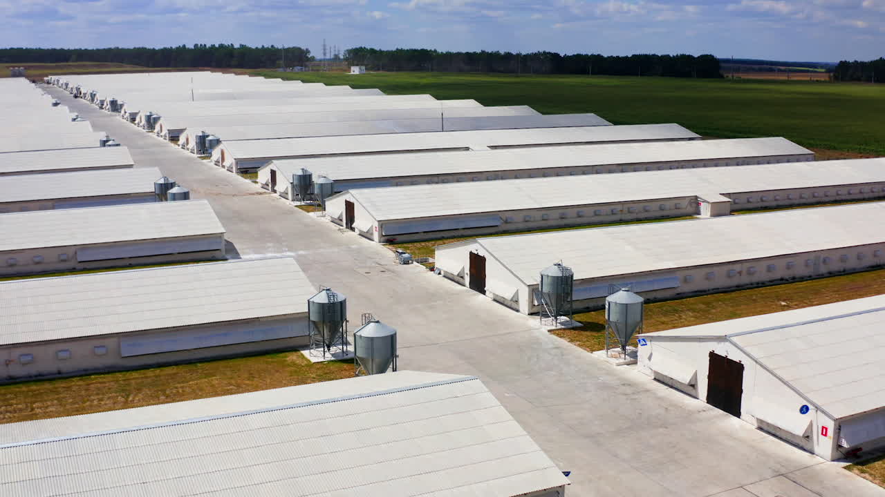 Storehouses in rural area. Warehouses for poultry growing. Countryside industry. Rural place. Farming facilities.