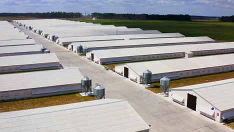 storehouses in rural area. warehouses for poultry growing. countryside industry. rural place. farming facilities.