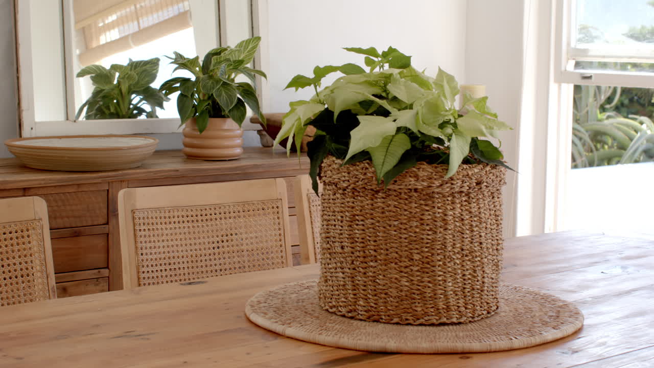 Woven basket with green plant on wooden dining table in cozy home setting