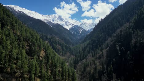 Indian-Himalayas-landscape---Bird-eye-view-of-the-pine-trees-forest-and-a-snowy-mountain-in-the-background---India