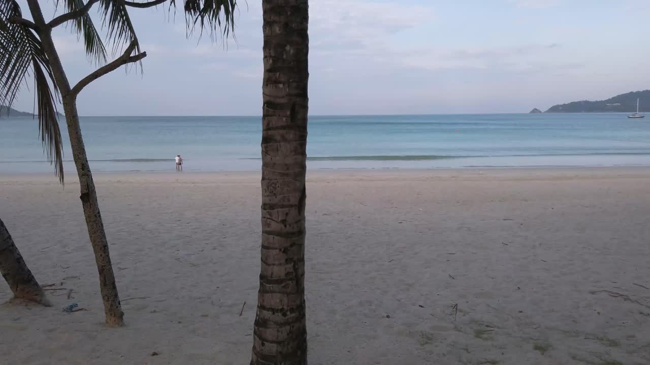 летнее видео 4k пляжа с кокосовой пальмой в солнечный день с белым песком пляжа и ясным голубым небом в 50 кадров в секунду 4k uhd видео