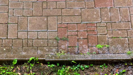 wet paver patio with puddles after rain