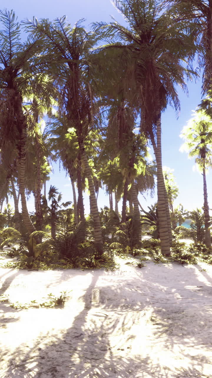 Tropical paradise with palm trees and a serene beach under a sunny sky