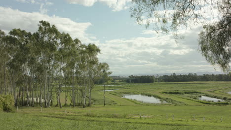 Wide-shot-of-green-grass-filled-flood-plain-with-bridge-overpass-in-background