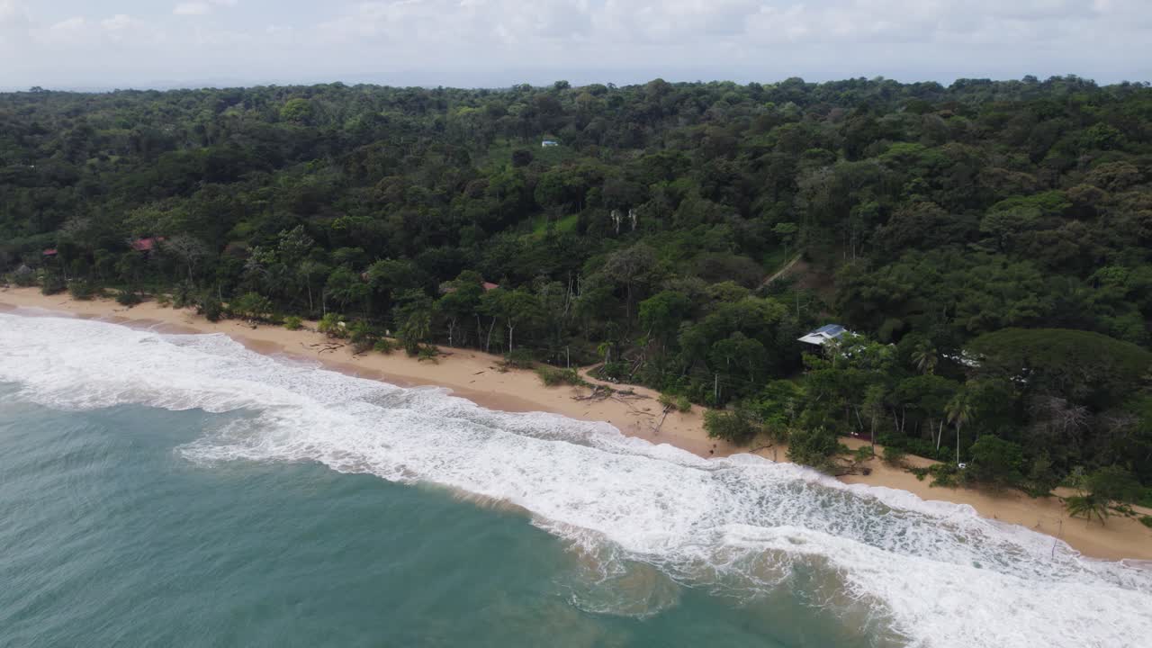 aérea - playa bluff costa, bocas del toro, panama, exuberante jungla y olas