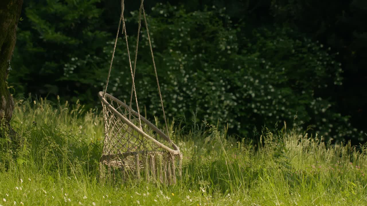 Close-up of bench hanging from tree with wind blowing tall grass at golden hour in Lake Como, Italy (Lago di Como, Italia)