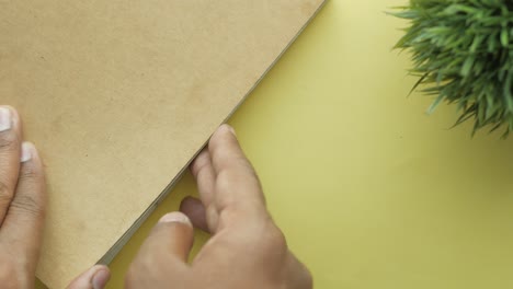 hands on a notebook and dollar bill on a yellow desk with a plant