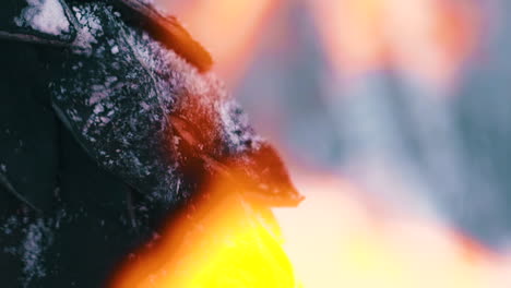 model-phoenix-costume-with-snowflakes-on-wings-near-fire