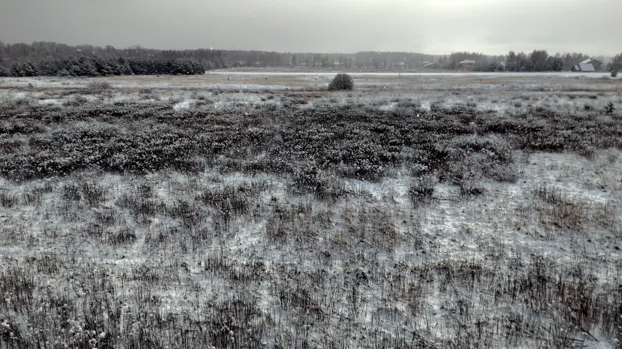 A serene open field covered in snow and dry grass stretches under a soft gray sky, with gentle light snowfall and a quiet tree line framing the calm winter landscape.