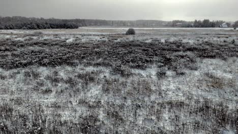 a serene open field covered in snow and dry grass stretches under a soft gray sky, with gentle light snowfall and a quiet tree line framing the calm winter landscape.