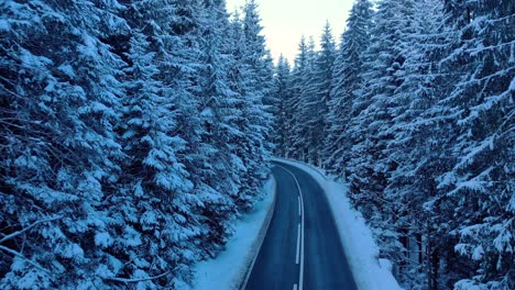 road in beautiful winter mountain forest - drone forward