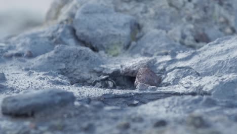 boiling mud pot in iceland  in slow motion