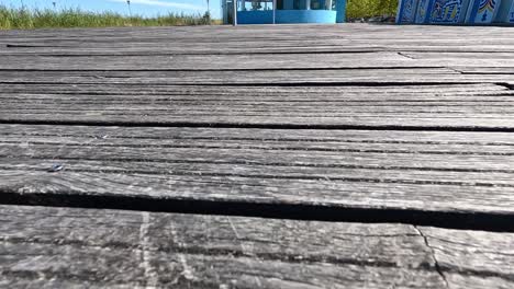 wooden deck with blue barrels and greenery