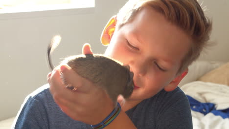 Junge-Spielt-Mit-Degu-Im-Schlafzimmer