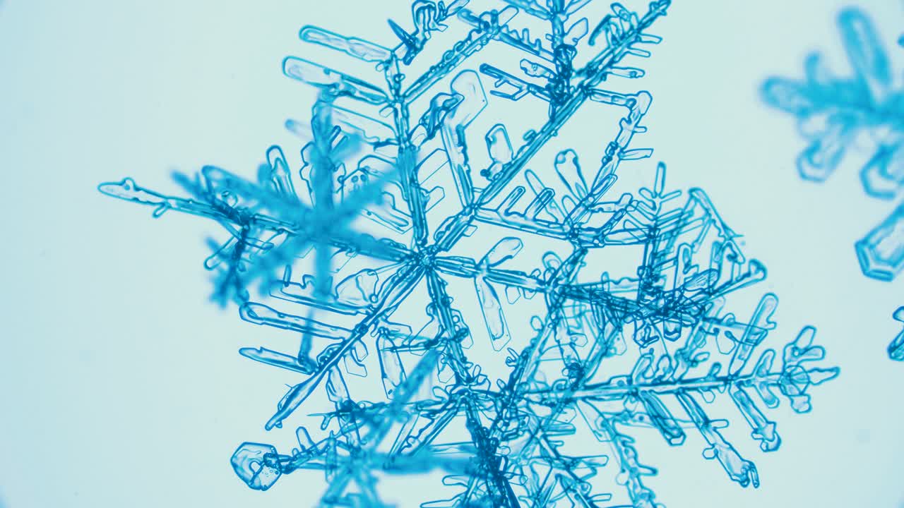 Cristalli di fiocchi di neve al microscopio in campo chiaro con filtri colore.