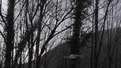 Drohnenflug-Im-Wald