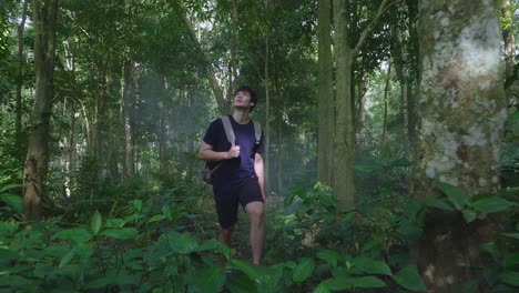 man hiking in a lush tropical forest